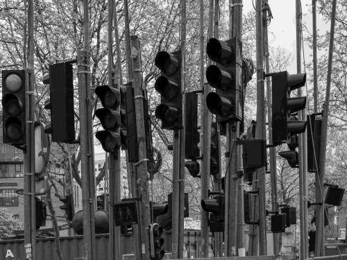 Ecologie urbaine - Forêt