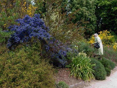 Se perdre dans la nature 