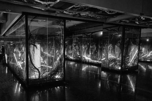 Exposition Thierry Mugler