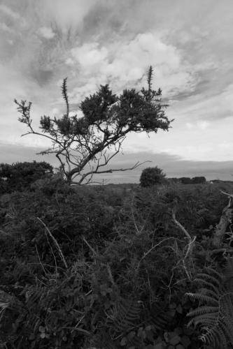 La tête dans les nuages